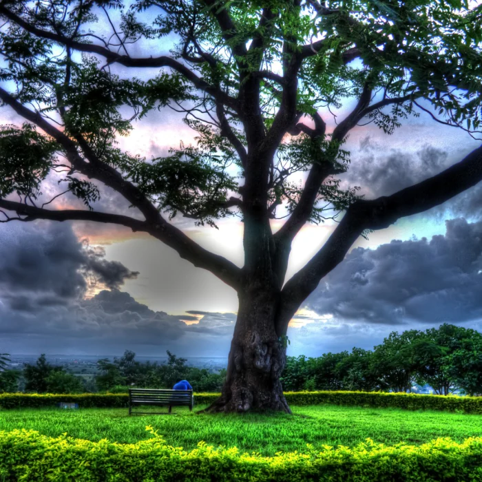 HDR Imaging photography by Raghav Palriwala (Palrigraphy)