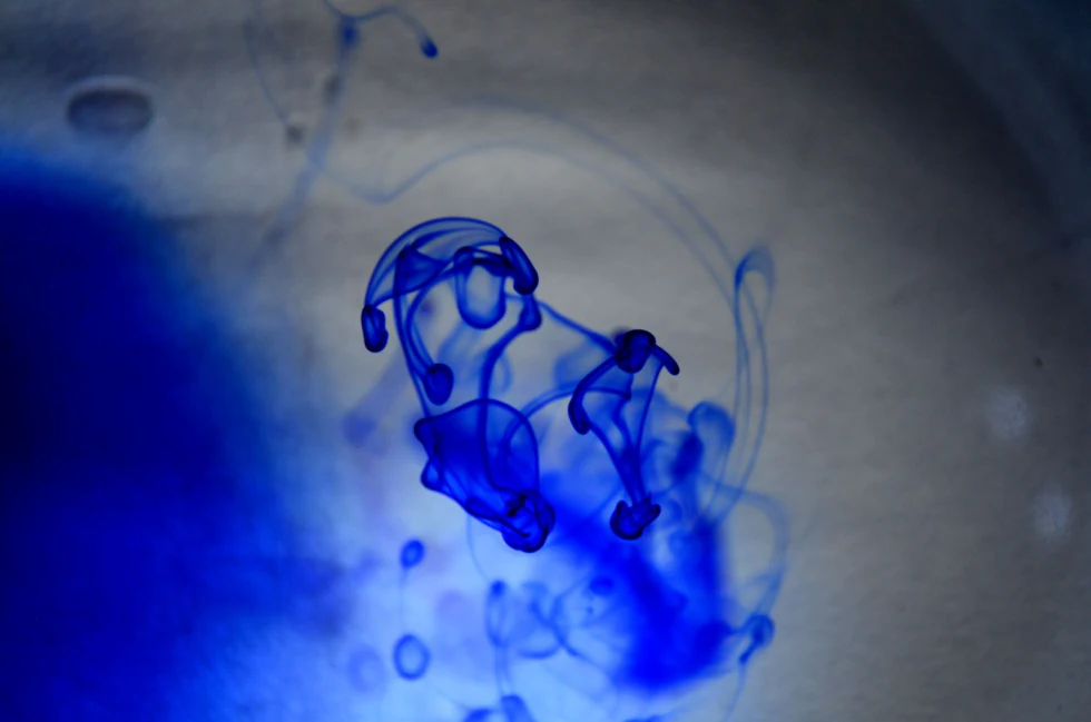 Azure Suffusion! — the essential blue photograph by Raghav Palriwala (Palrigraphy)