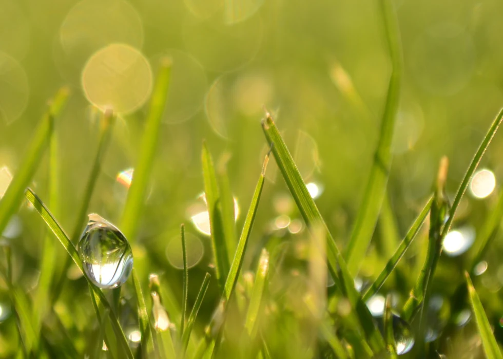 Upside-down — it’s green in here photograph by Raghav Palriwala (Palrigraphy)