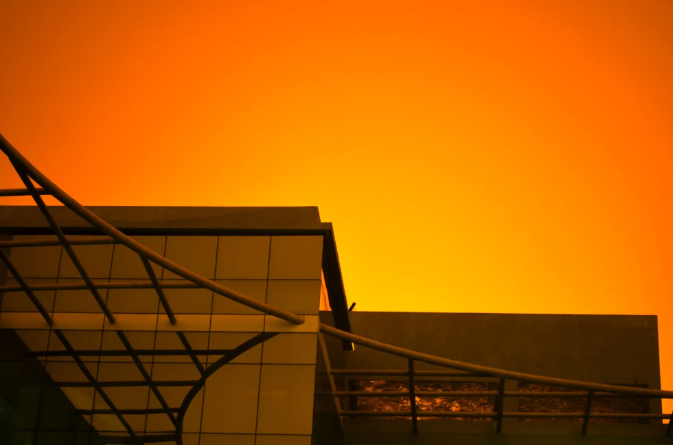 Tangy — Up in the Sky! photograph by Raghav Palriwala (Palrigraphy)