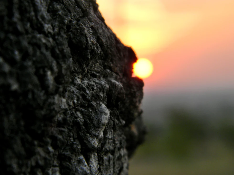 Kiss You — up in the sky photograph by Raghav Palriwala (Palrigraphy)