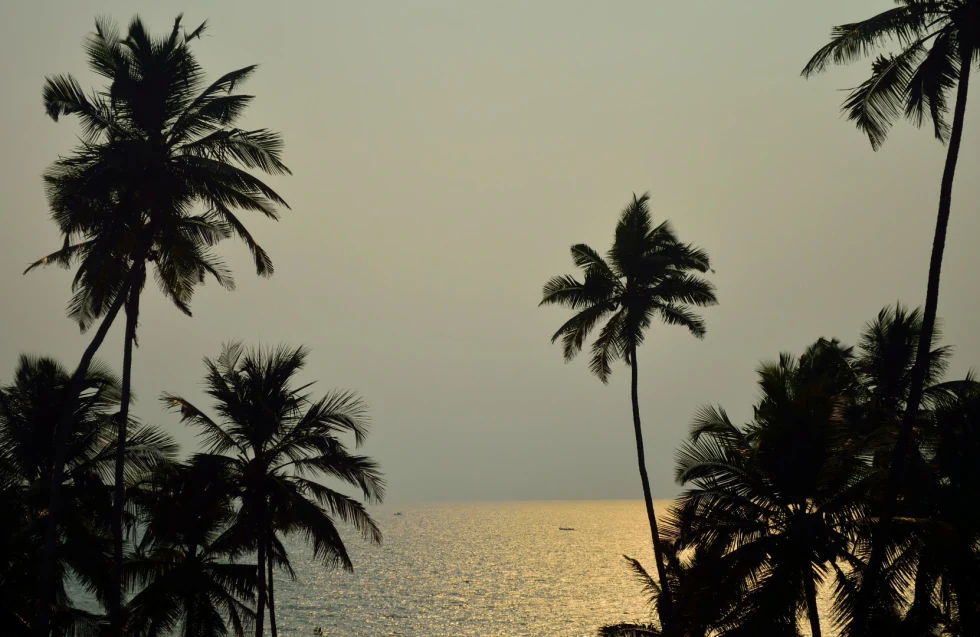 The essential Blue! photograph 3 of 8 by Raghav Palriwala (Palrigraphy)