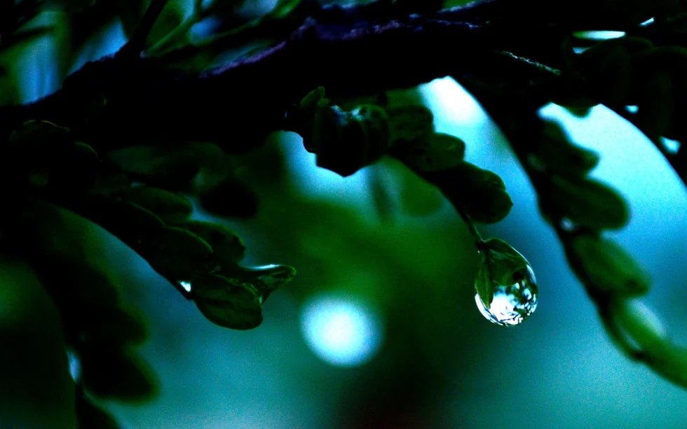 Like a Diamond — it’s green in here photograph by Raghav Palriwala (Palrigraphy)