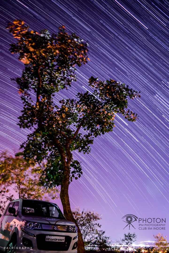 Star trails over a tree and a car — star trails photograph by Raghav Palriwala (Palrigraphy)